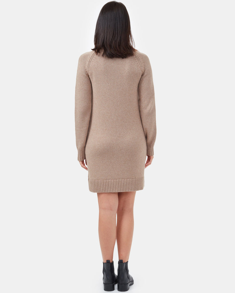 Highline Turtleneck Dress-3