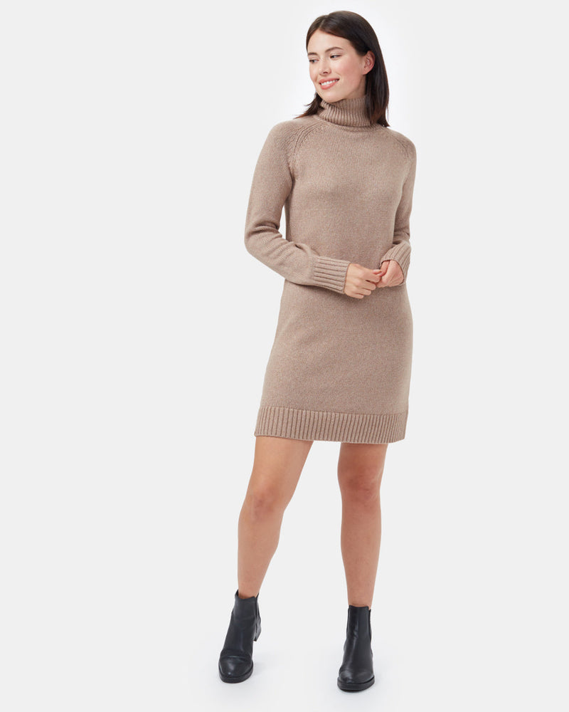 Highline Turtleneck Dress-1