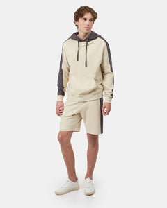 French Terry Reynard Colour Blocked Hoodie-1