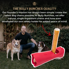 Bully Stick Safety Holder-7