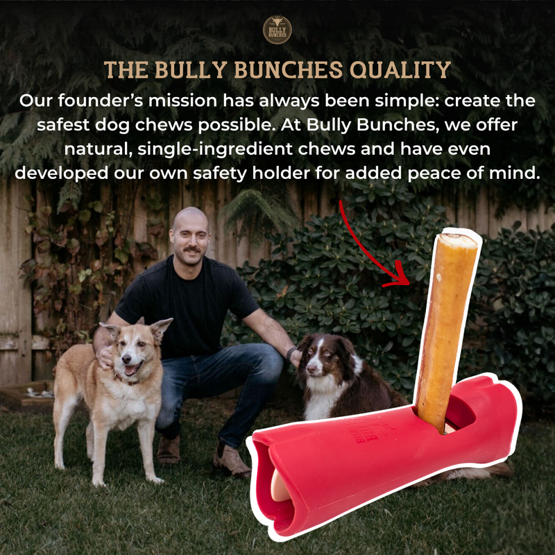Bully Stick Safety Holder-7