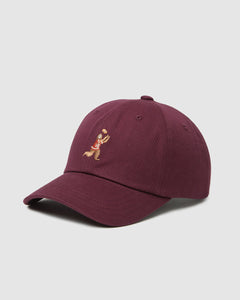 Sasquatch Peak Hat-1