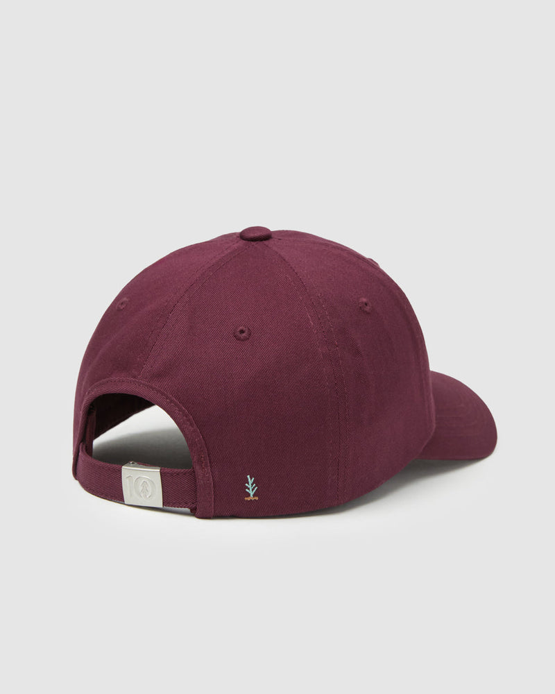 Sasquatch Peak Hat-3