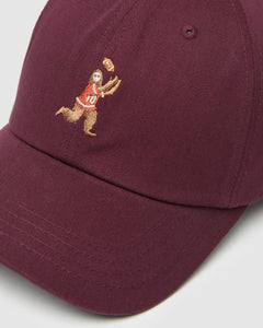 Sasquatch Peak Hat-2