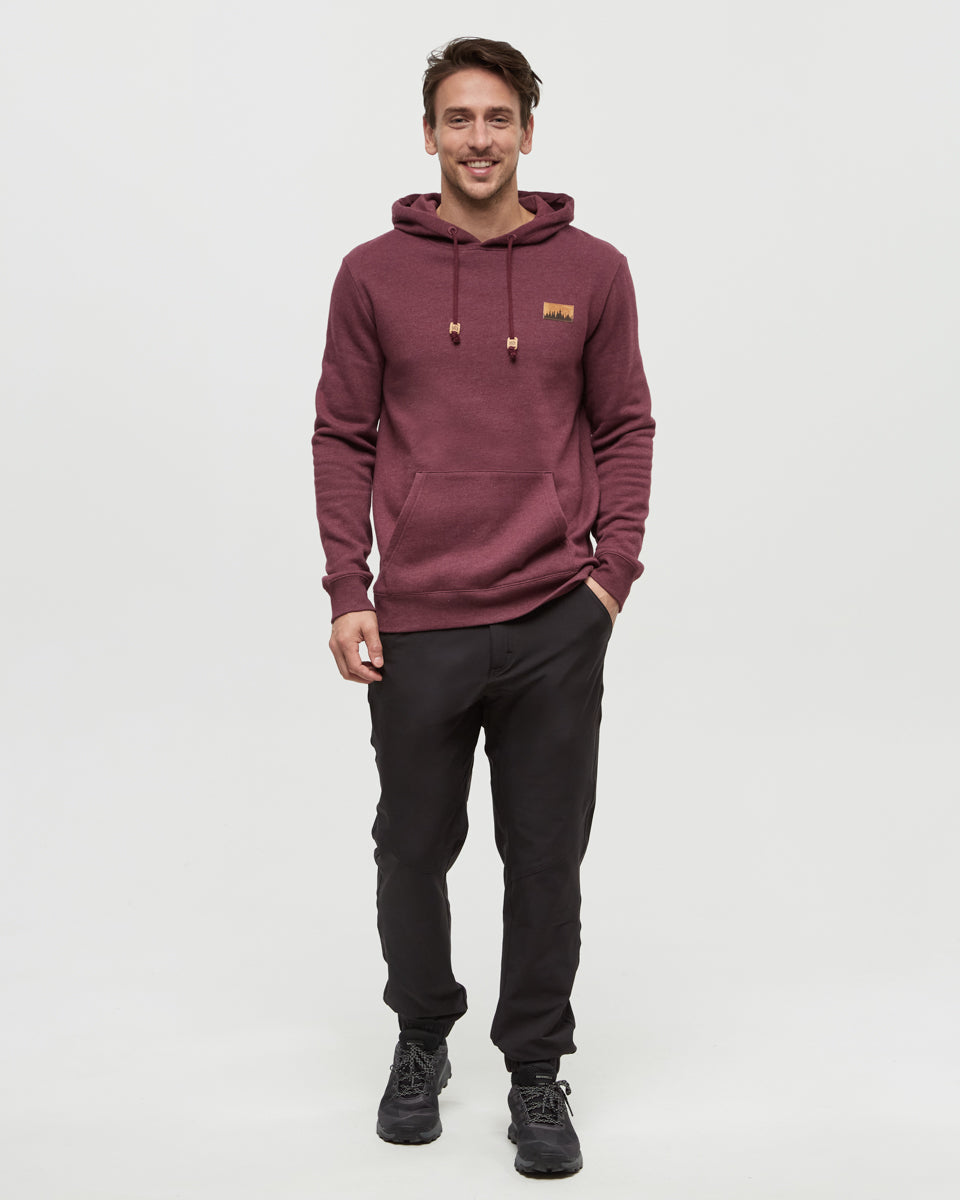 Juniper Cork Patch Hoodie-2