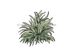 Frog's Whiskers Ink Stamp - Hosta #2-1