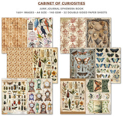 Cabinet Of Curiosities Junk Journal & Ephemera Book A4 32/Pkg-3