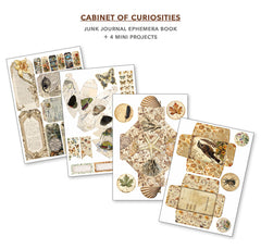 Cabinet Of Curiosities Junk Journal & Ephemera Book A4 32/Pkg-6