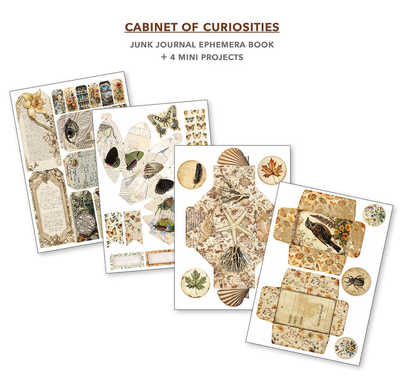 Cabinet Of Curiosities Junk Journal & Ephemera Book A4 32/Pkg-6