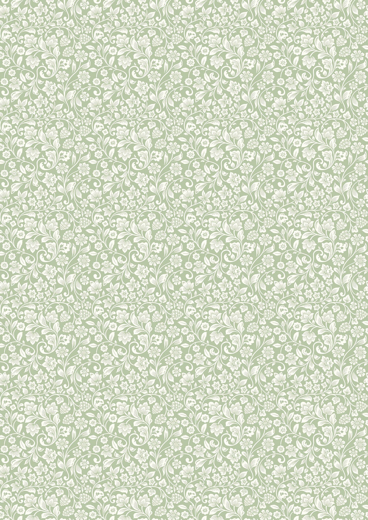 Ciao Bella Enchanted Land Creative Pad A4 9/Pkg-7