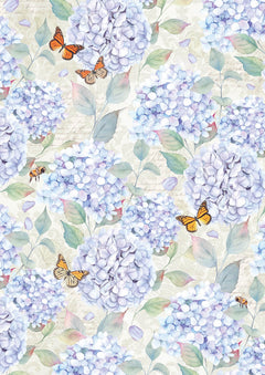 Ciao Bella Enchanted Land Creative Pad A4 9/Pkg-24