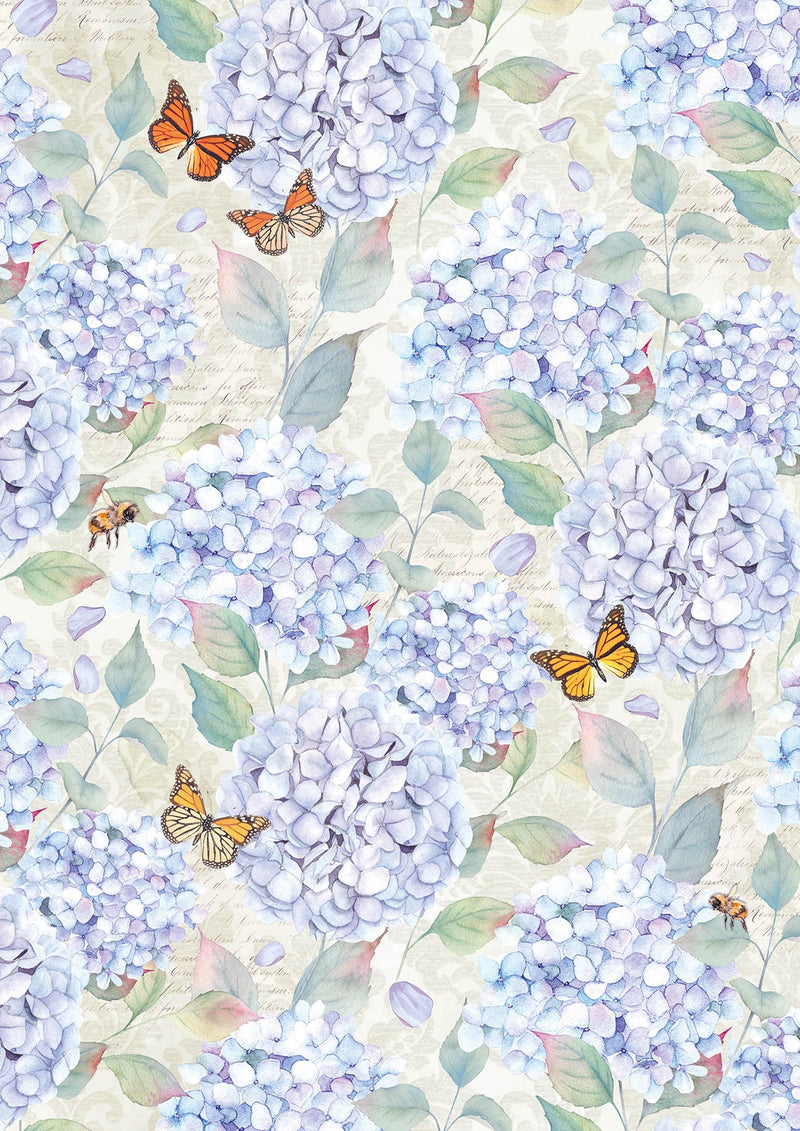 Ciao Bella Enchanted Land Creative Pad A4 9/Pkg-24