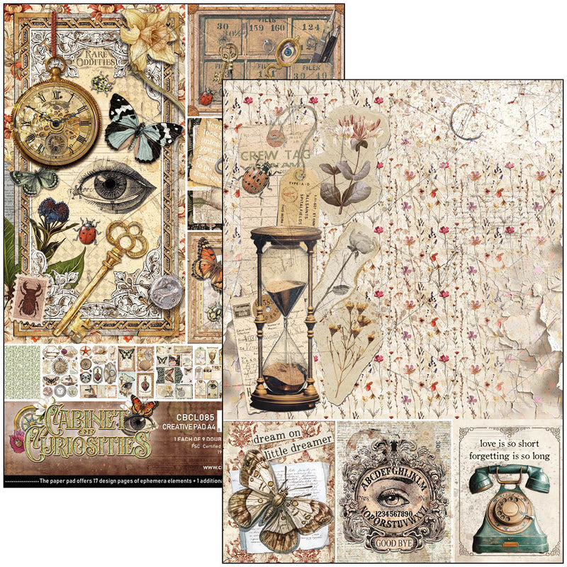 Cabinet Of Curiosities Creative Pad A4 9/Pkg-2