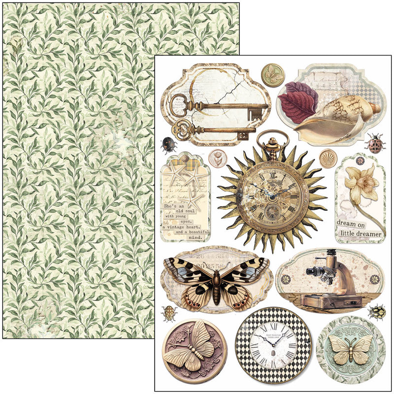 Cabinet Of Curiosities Creative Pad A4 9/Pkg-3