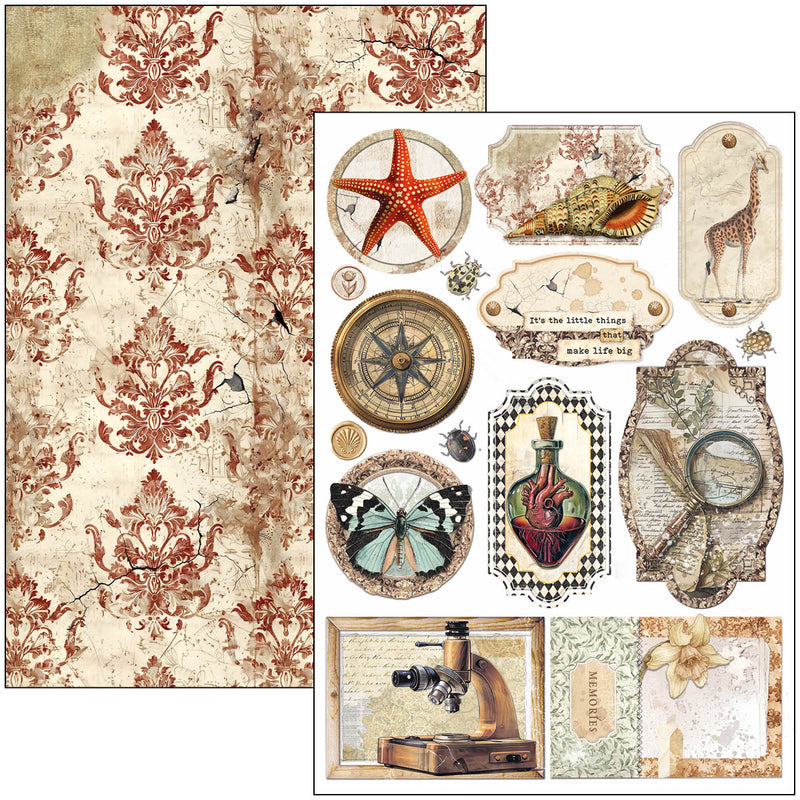 Cabinet Of Curiosities Creative Pad A4 9/Pkg-4