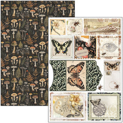 Cabinet Of Curiosities Creative Pad A4 9/Pkg-6