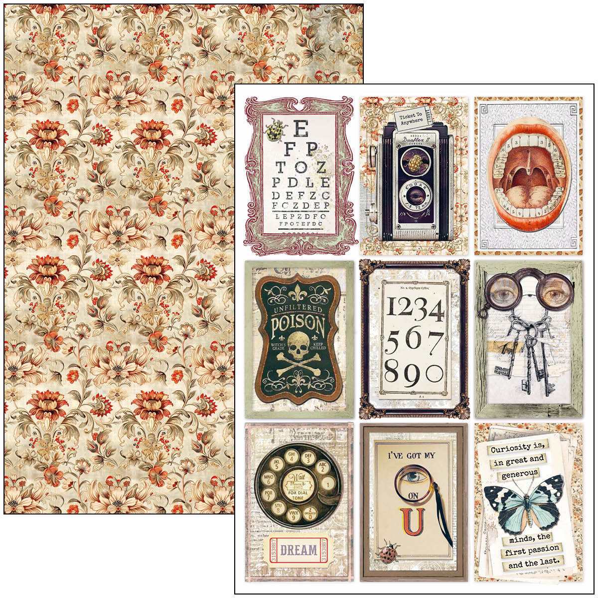 Cabinet Of Curiosities Creative Pad A4 9/Pkg-10
