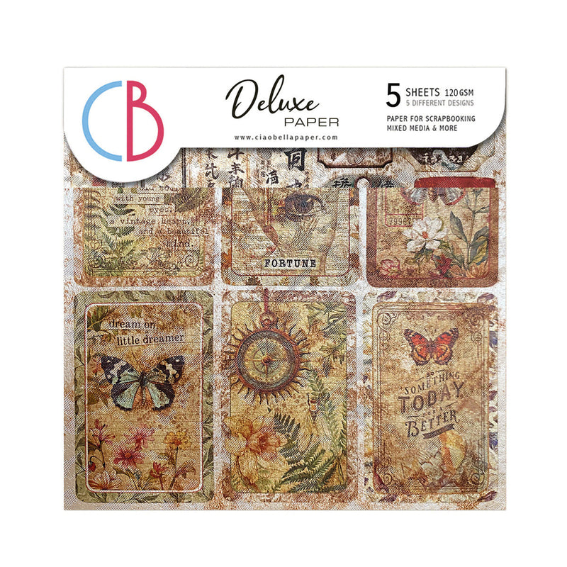 Deluxe Cabinet Of Curiosities Paper Pearl-Copper  6"x6" 5/Pkg-1