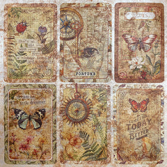 Deluxe Cabinet Of Curiosities Paper Pearl-Copper  6"x6" 5/Pkg-2