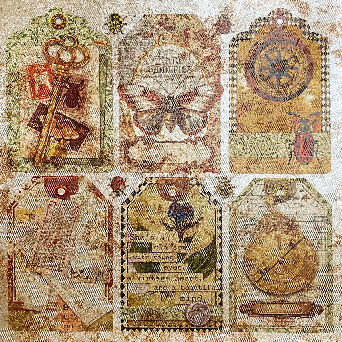 Deluxe Cabinet Of Curiosities Paper Pearl-Copper  6"x6" 5/Pkg-6