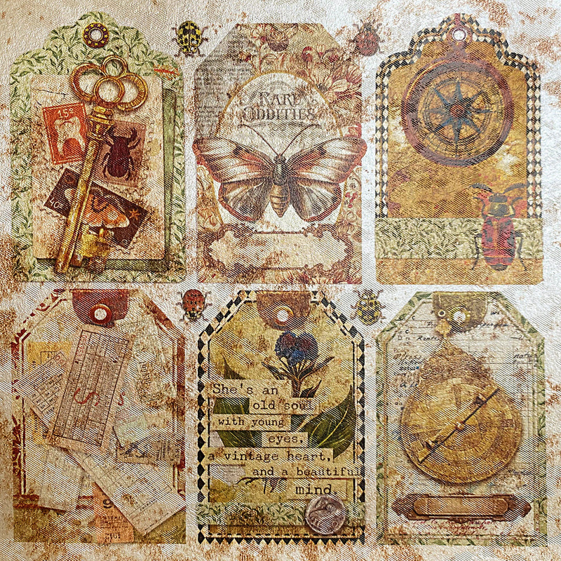 Deluxe Cabinet Of Curiosities Paper Pearl-Copper  6"x6" 5/Pkg-6