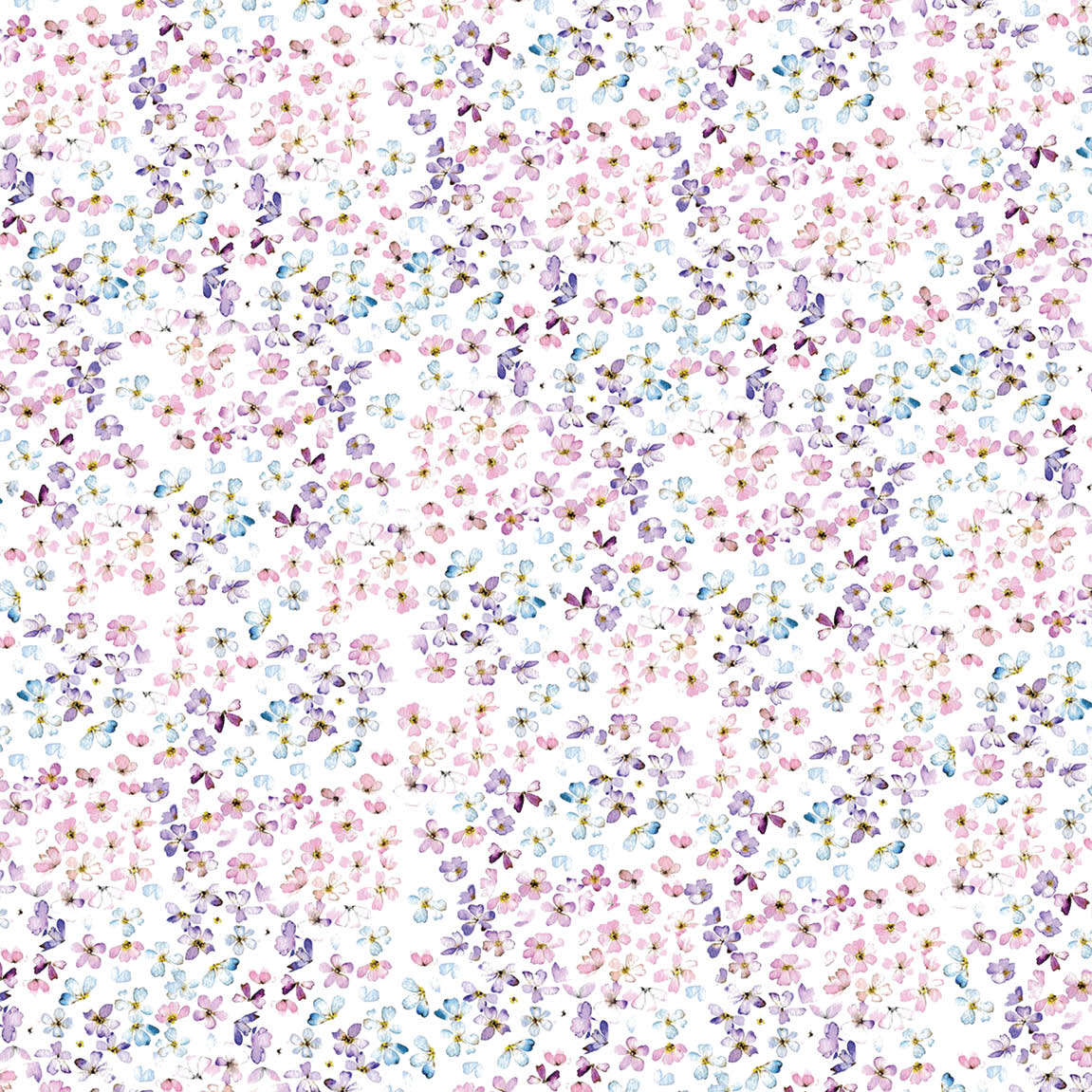 Ciao Bella Blooming 8"x8" 12/Pkg-6