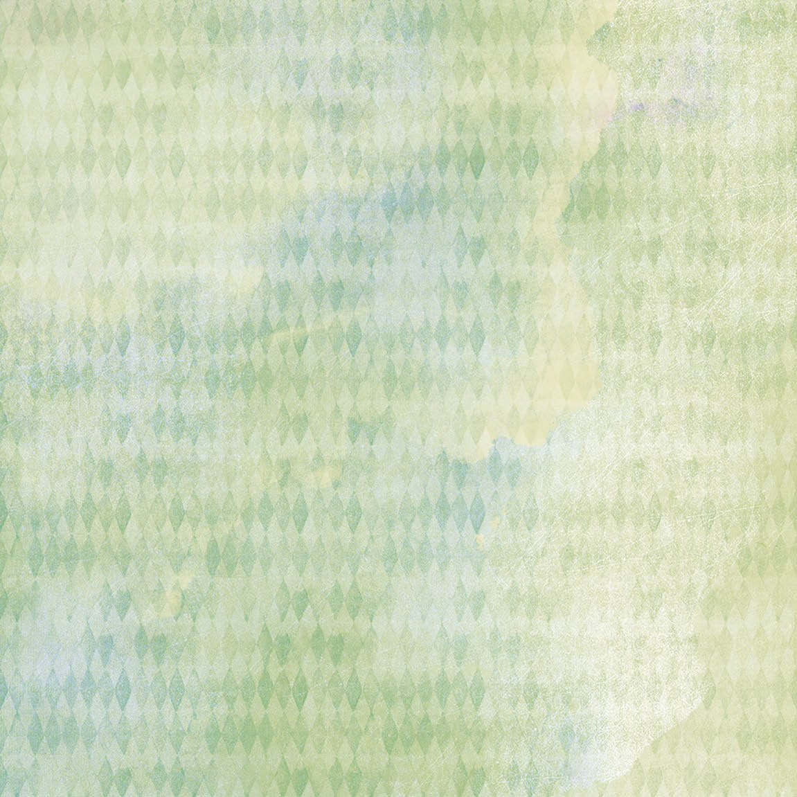 Ciao Bella Blooming 8"x8" 12/Pkg-24