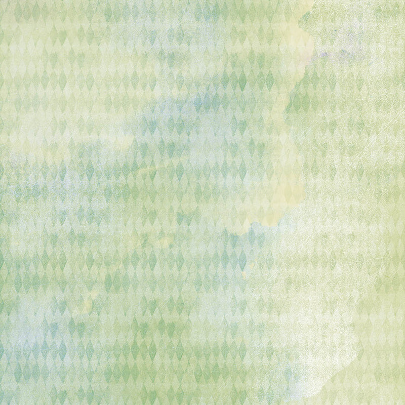 Ciao Bella Blooming 8"x8" 12/Pkg-24