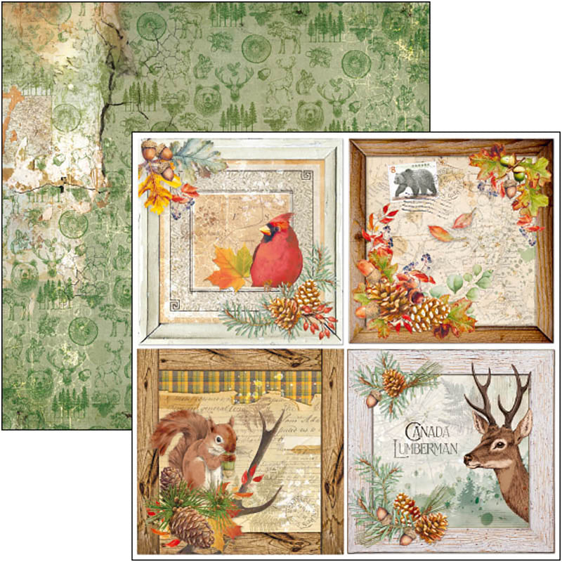 Ciao Bella Into The Wild Paper Pad 8"x8" 12/Pkg-11