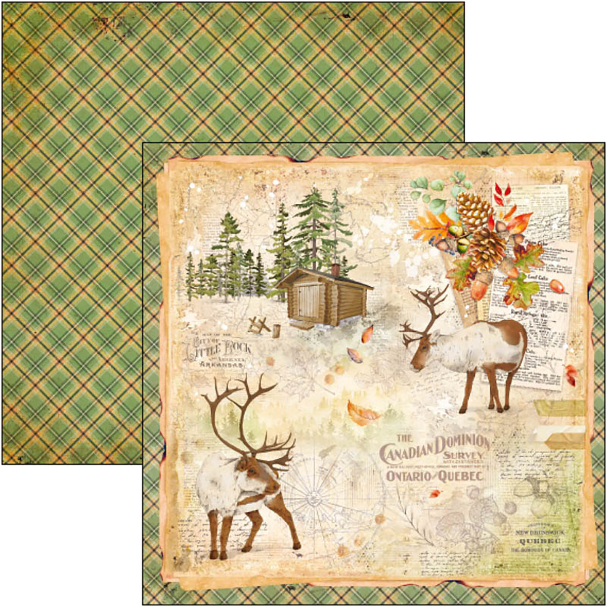 Ciao Bella Into The Wild Paper Pad 8"x8" 12/Pkg-9