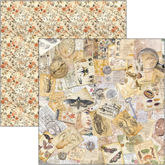 Cabinet Of Curiosities Pad 8"x8" 12/Pkg-3