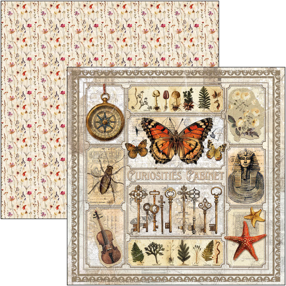 Cabinet Of Curiosities Pad 8"x8" 12/Pkg-5