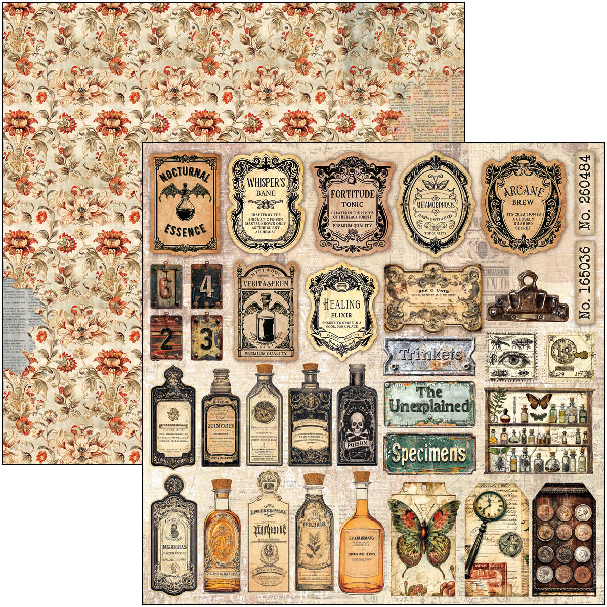 Cabinet Of Curiosities Pad 8"x8" 12/Pkg-6