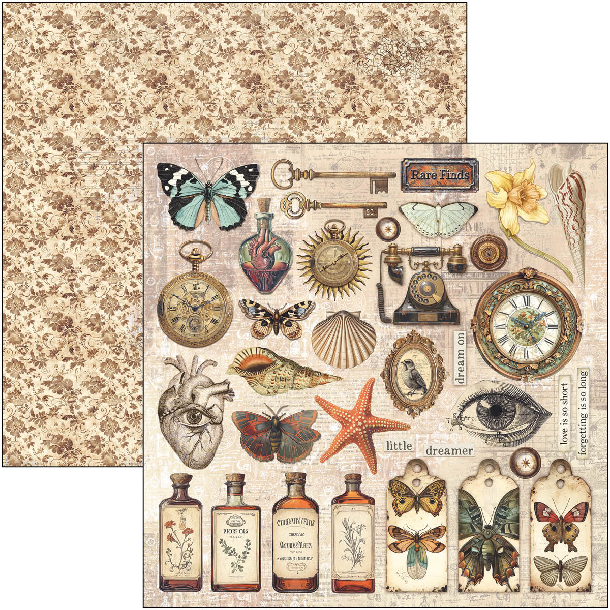 Cabinet Of Curiosities Pad 8"x8" 12/Pkg-9