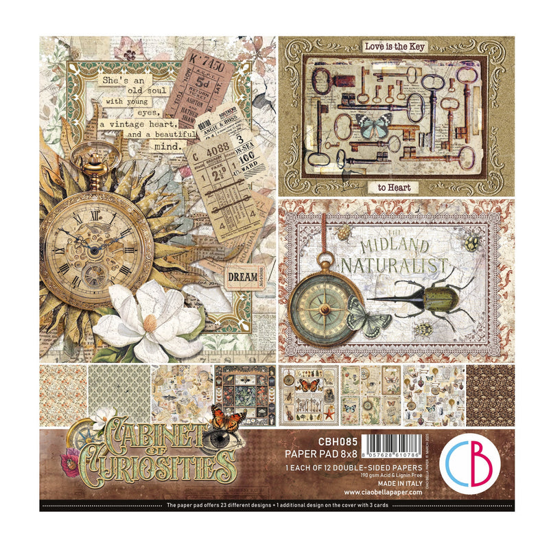 Cabinet Of Curiosities Pad 8"x8" 12/Pkg-1