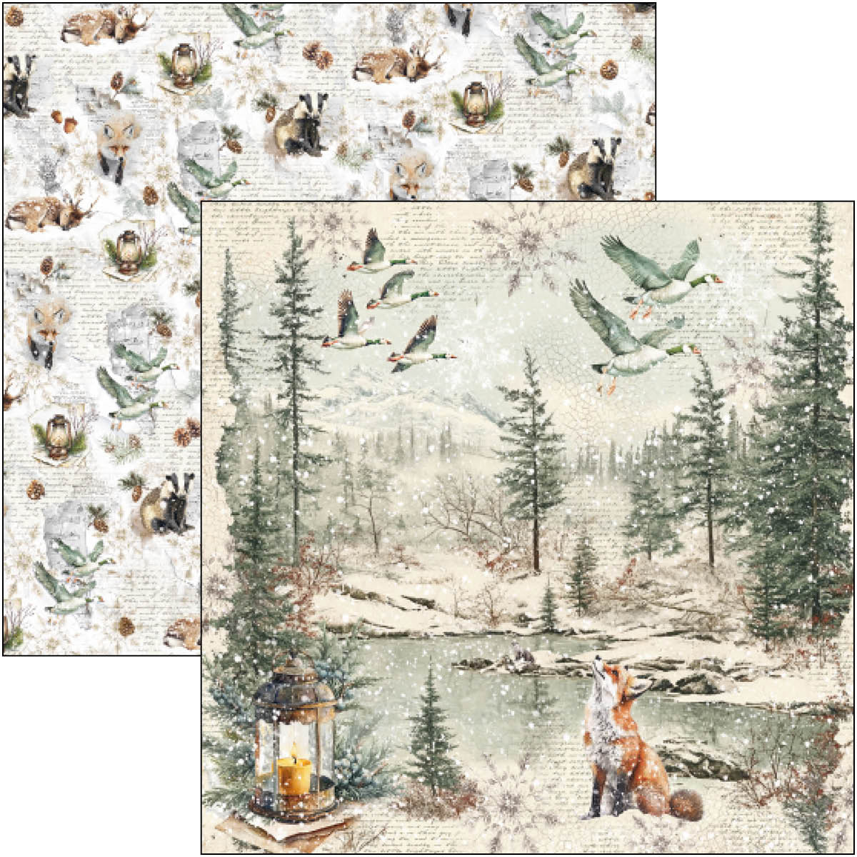 Forest Tales Pad 8"x8" 12/Pkg-3