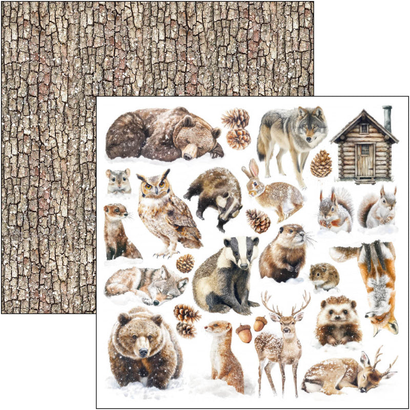 Forest Tales Pad 8"x8" 12/Pkg-6