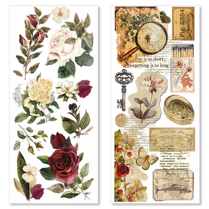 Cabinet Of Curiosities Transparent Adhesive Sheets 5/Pkg-3