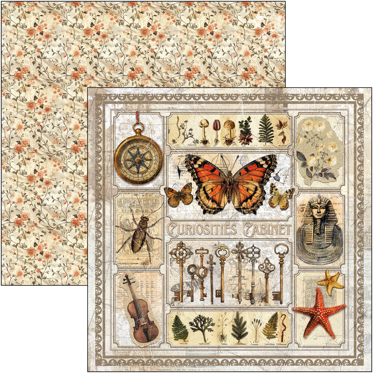 Cabinet Of Curiosities Paper Pad 12"x12" 12/Pkg-11