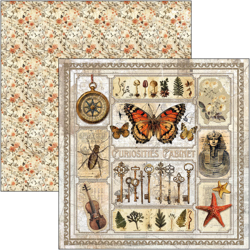 Cabinet Of Curiosities Paper Pad 12"x12" 12/Pkg-11