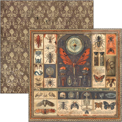 Cabinet Of Curiosities Paper Pad 12"x12" 12/Pkg-3