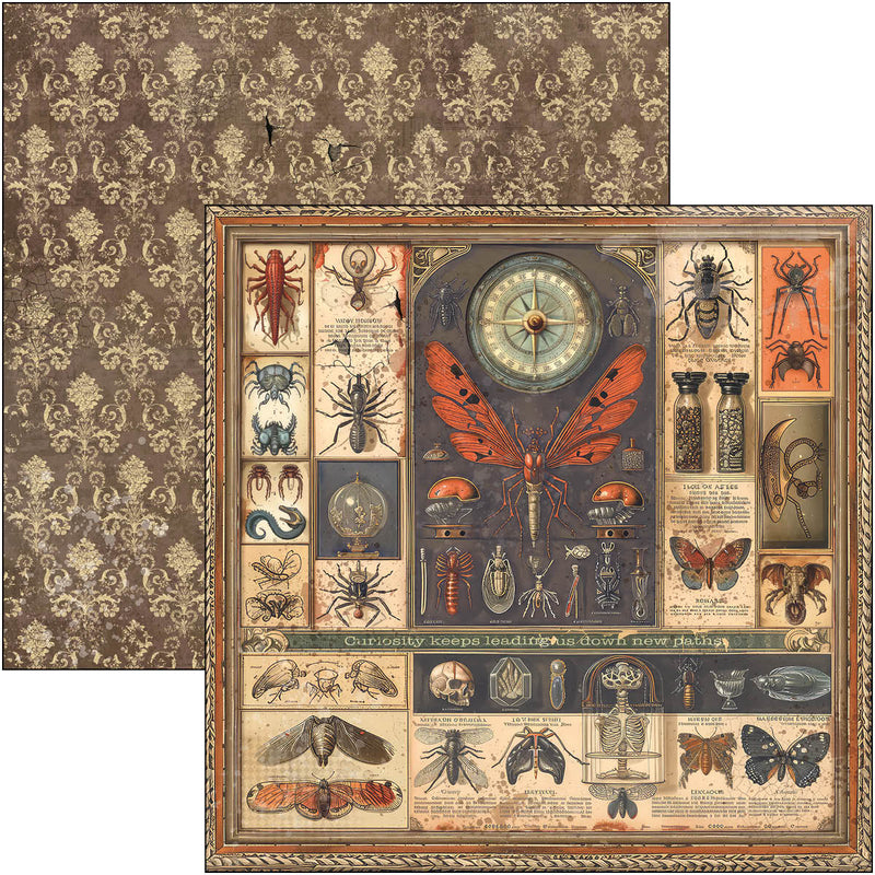 Cabinet Of Curiosities Paper Pad 12"x12" 12/Pkg-3