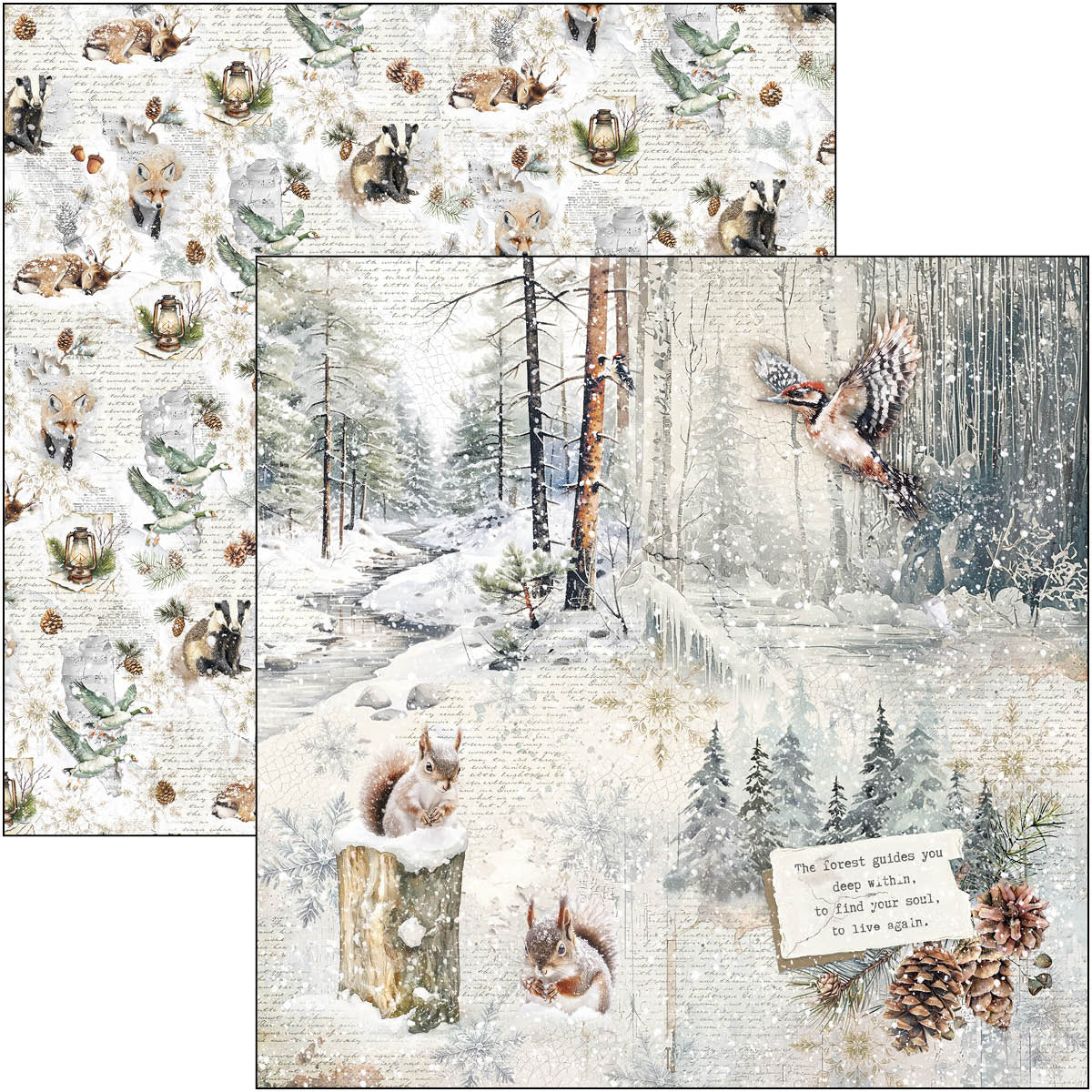 Forest Tales Paper Pad 12"x12" 12/Pkg-9