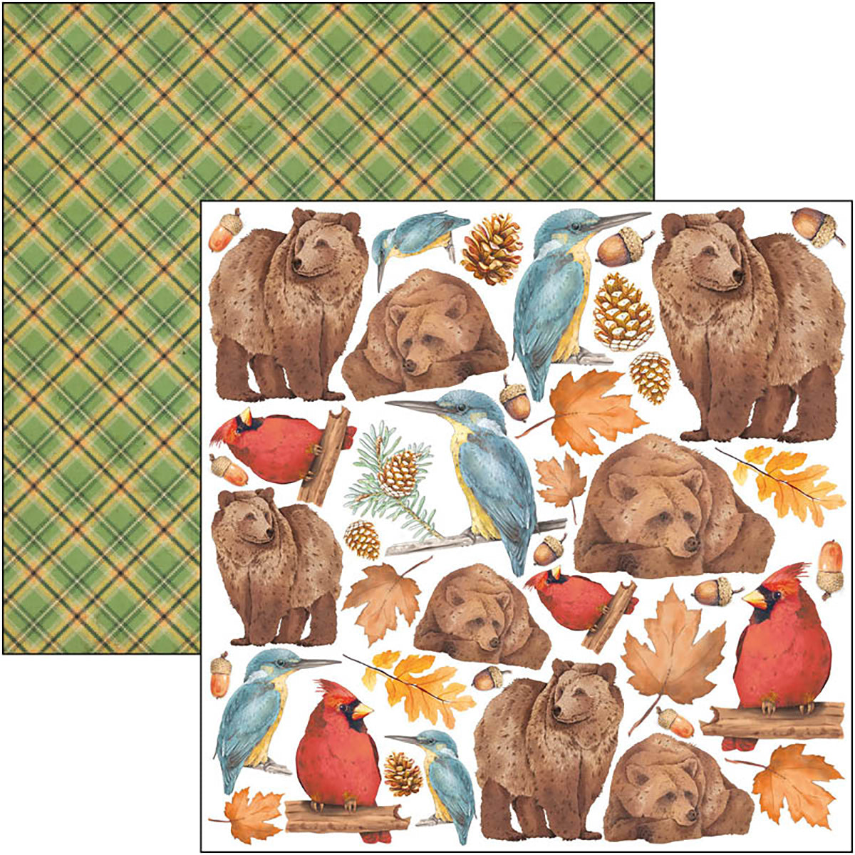 Bloc de papel recortable Ciao Bella Into The Wild de 6"x6", 24 unidades/paquete