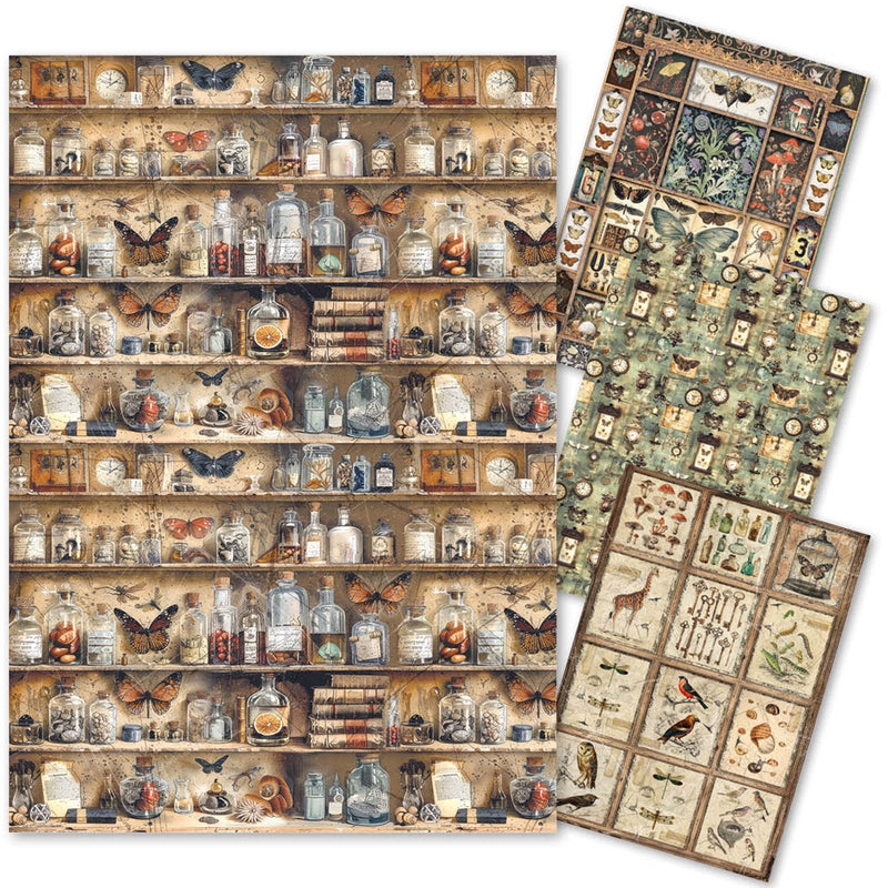 Rice Paper A4 MIXED 4/Pkg Cabinet Of Curiosities-1
