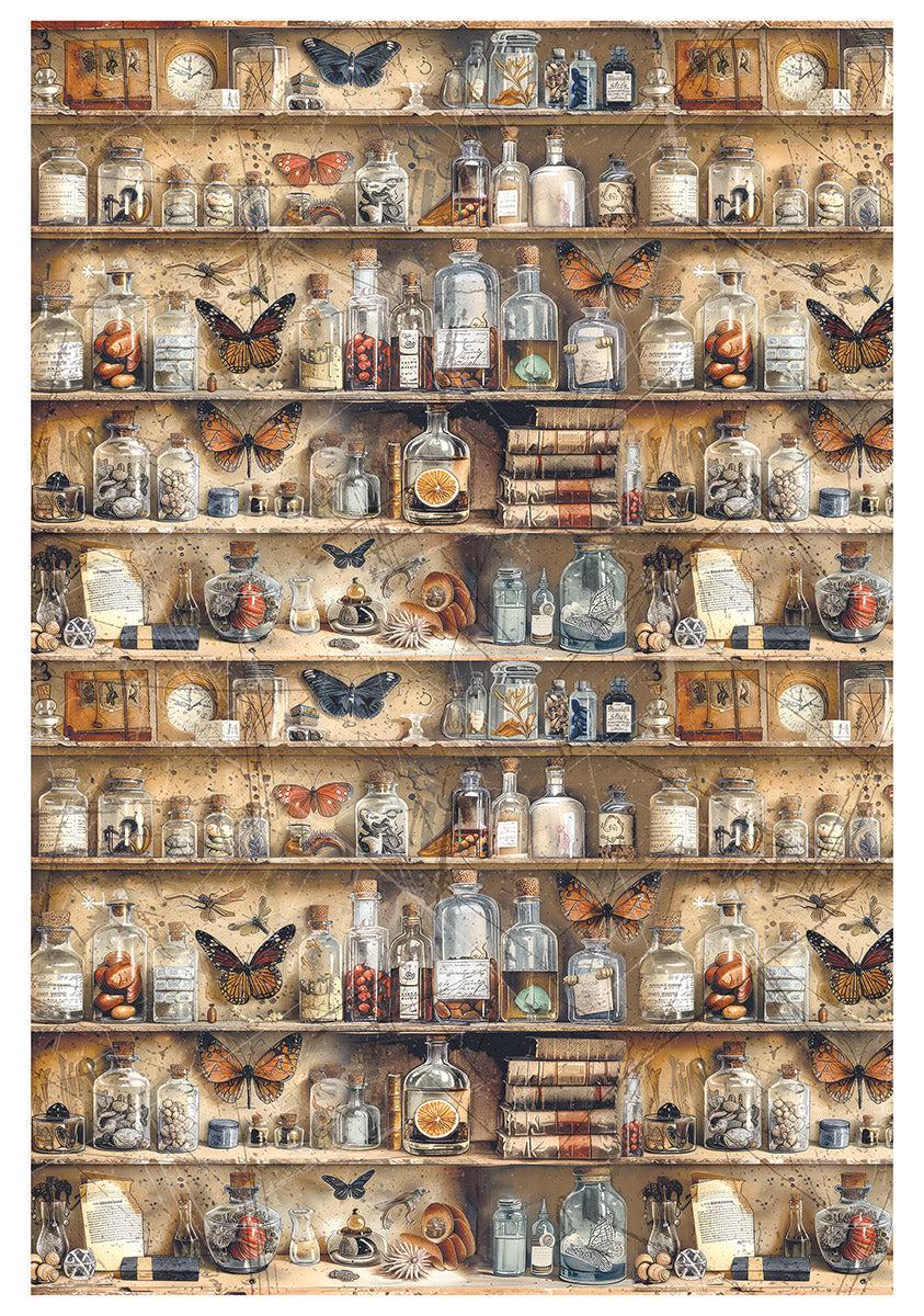 Rice Paper A4 MIXED 4/Pkg Cabinet Of Curiosities-2