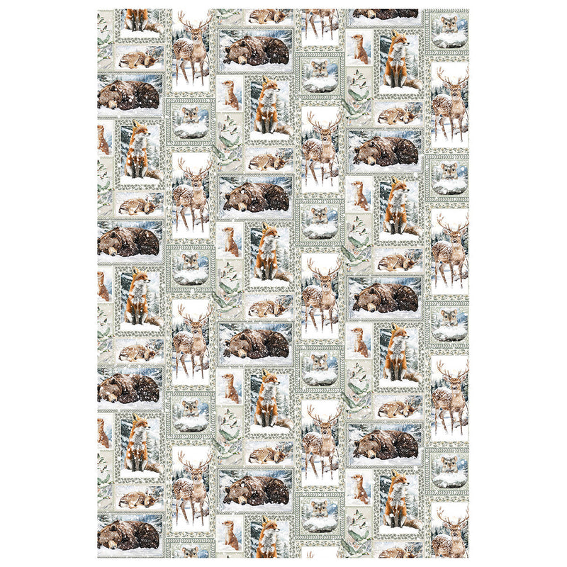 Rice Paper A4 MIXED 4/Pkg Forest Tales-5