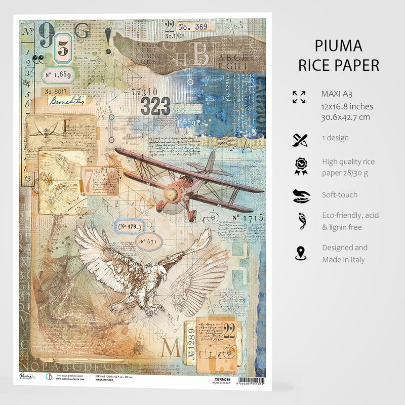 Ciao Bella Rice Paper A3 Study Of Flight - 3 Sheets-3