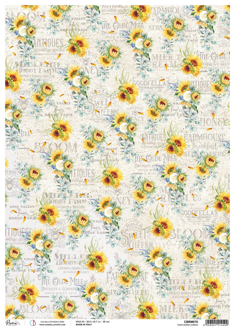 Ciao Bella Rice Paper A3 Piuma Sunflowers Garden - 3 Sheets-1