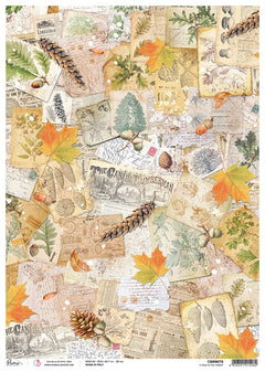 Papel de arroz A3 Piuma A Walk In The Forest de Ciao Bella - 3 hojas-1